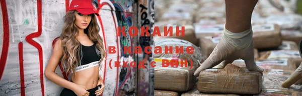 PSILOCYBIN Дмитриев