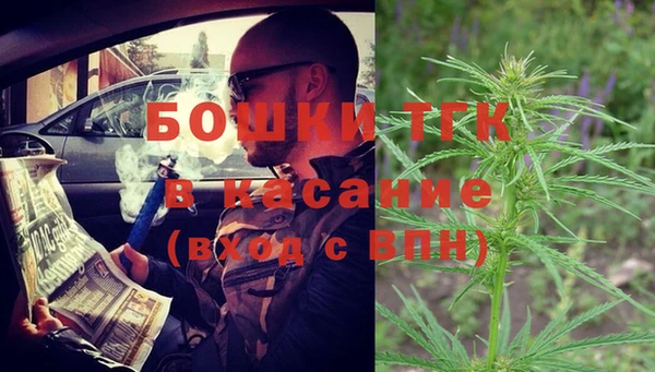 PSILOCYBIN Дмитриев