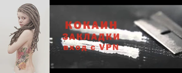 PSILOCYBIN Дмитриев